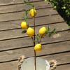 1pcLuxury Lemon Fruit Branch With Green Leaves Artificial Flowers Home Photography Props Flores Artificales Fake Plants