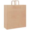 VidaXL Paper Bags 250 Pcs with Handles Brown 45x17x48 Cm, Paper Bag, Paper Gift Bag, Paper Gift Bag, 4101821
