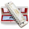 East Top Blues C 20 Brass Canvas Cleaning Diatonic Harmonica for Beginners and Study and Practice Harmonica, 10-Hole, Key, Tones, Cover, Case, Cloth,