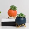 Nordischer Stil Runde Kugel Keramikvase Dekorative Pflanztopf Eleganter Blumentopf Büro