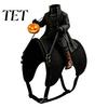 Pohodlný kostýmový doplněk pro mazlíčky Bezhlavý jezdec Kočičí kostým, Halloween 3D Vtipný jezdecký outfit s dýní Roztomilé psí oblečení na párty lucernu,