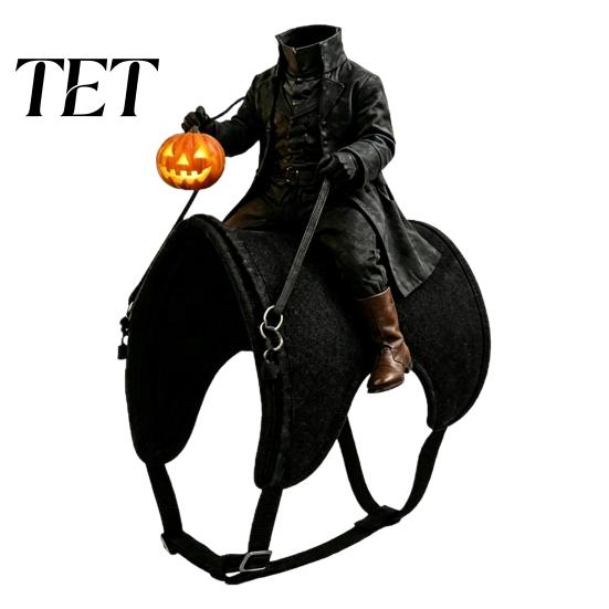 Pohodlný kostýmový doplněk pro mazlíčky Bezhlavý jezdec Kočičí kostým, Halloween 3D Vtipný jezdecký outfit s dýní Roztomilé psí oblečení na párty lucernu,