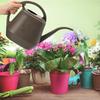 Comfortable Handle Garden Watering Can Large Capacity Long Nozzle Long Spout Watering Pot 1-Gallon/4L Thickened Watering Kettle