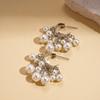 Wind imitation pearl geometric C-shaped fringed silver needle earrings cold wind niche earrings