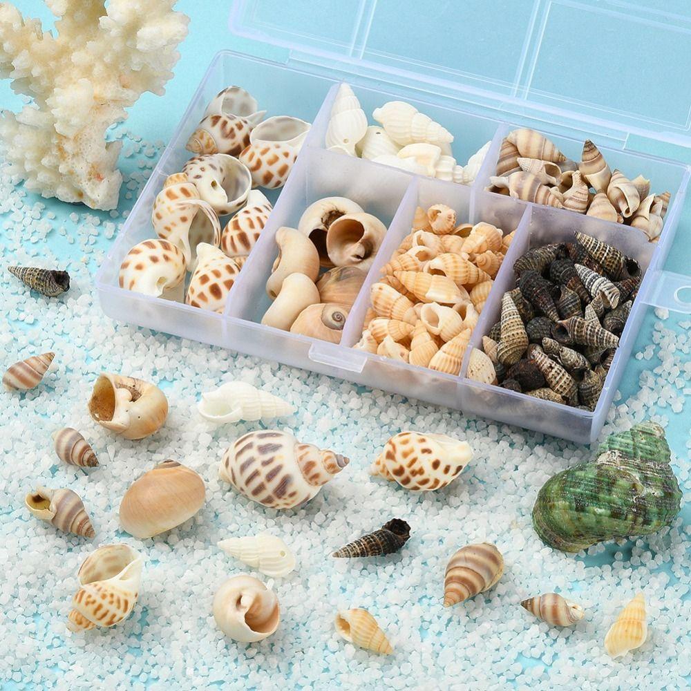 Shell Pendant Natural Sea Shells Non Porous Scallop Mini Conch Home
