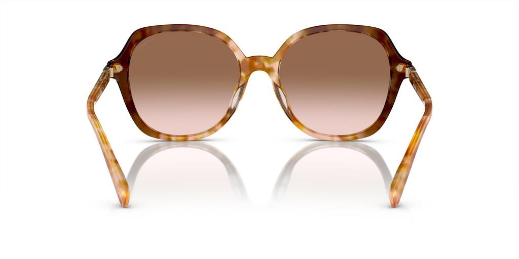 Coach Sunglasses HC8377U CL925 CARAMEL SNOW TORTOISE GRADIENT 55 Women's