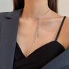 Sweater chain Long necklace Design sense Niche women's pendant accessories Versatile 2026 New trendy collarbone chain