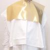 AIS Color Diagnosis Gold and Silver Drape (Light)