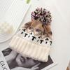 Windproof Winter Knitted Hats Korean Cashmere Bonnets Fashion Women Beanie Hats  Girls