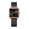 RORIOS Watch Women's Watch Popular Unique Square Face Simple Classic Watch Made In Japan Quartz Stylish Cute Casual Stainless Steel Commuting To