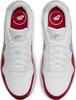 Кроссовки Nike Air Max SC (CW4555-107) белый/ волчий серый/ университетский красный/ черный