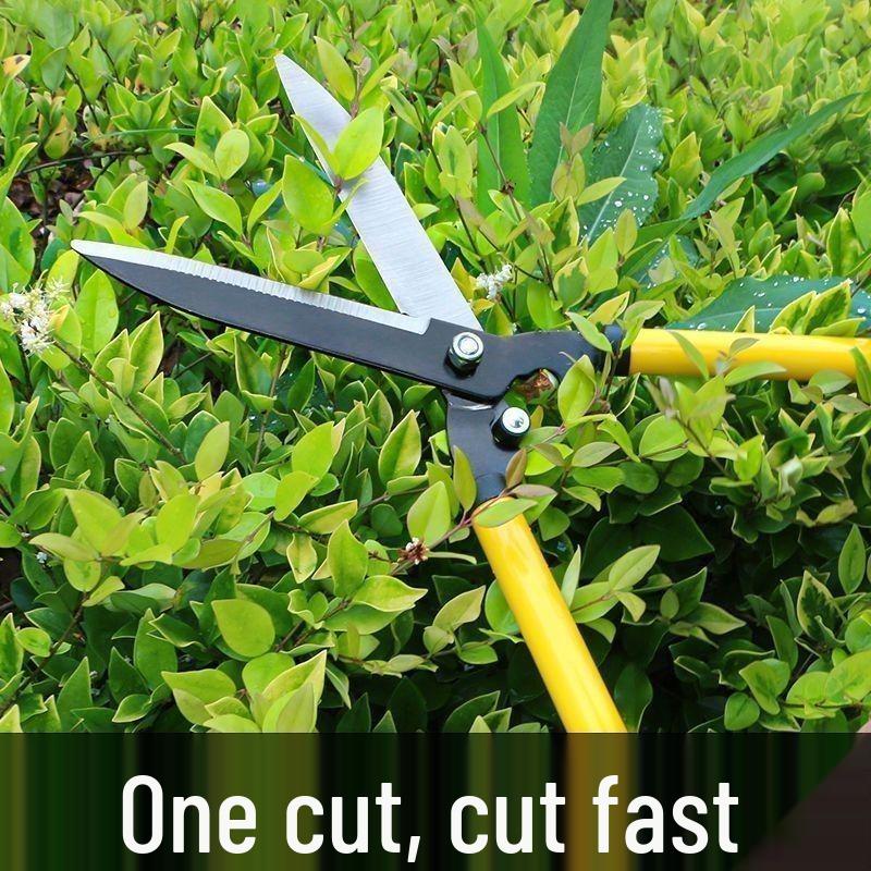 Horticultural Pruning Shears for Gardens, Lawns, Hedges, and Trees