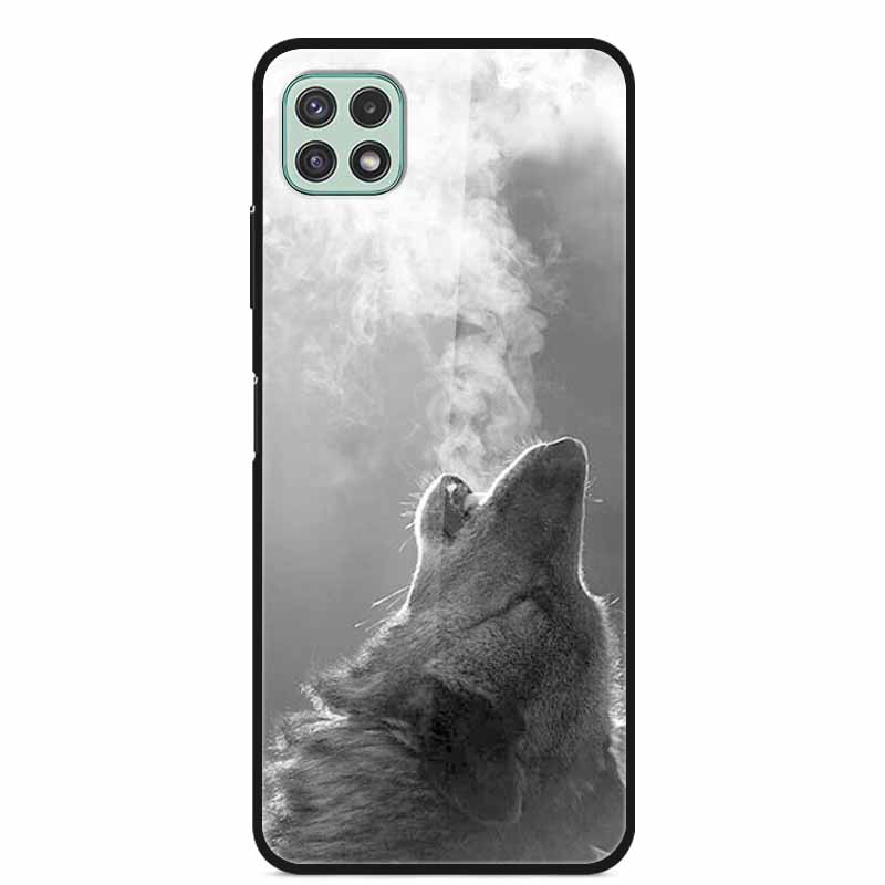 For Samsung Galaxy Wide5 Case Tempered Glass Hard PC Phone Back Cover for Galaxy Wide 5 Bumpers Cases Shell Coque 6.6'' SM-E426S