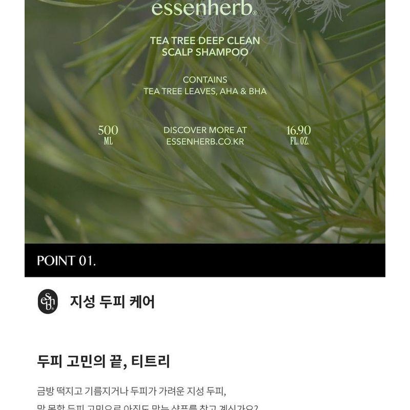 ESSEN HERB Tea Tree Deep Clean Scalp Shampoo