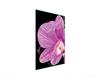 SZKLANA DESKA DO KROJENIA 35x52 ORCHIDEA