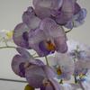 Luxury Artificial Phalaenopsis Flower Arrangement - 9 Heads, Morandi Color for Weddings & Hotels