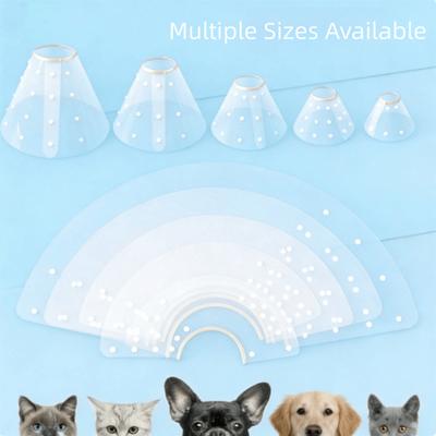 Gatos – Cuidados e higiene