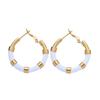 2025 High-End Sweet and Cool Style Earrings: Versatile Light Luxury Ear Jewelry for Women