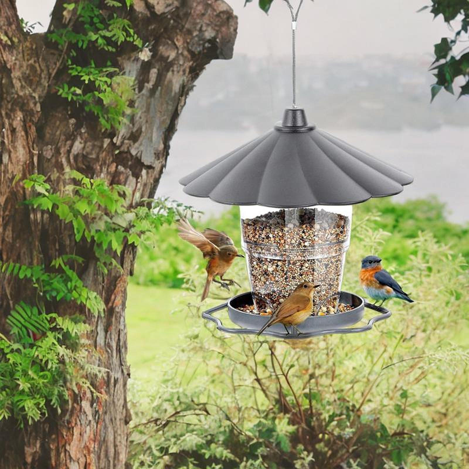 

Automatic Pendant Feeder of The Outdoor Hummingbirds High Capacity Food Dispenser for Patio серый