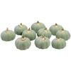 10Pcs Green Foam Pumpkins Artificial Pumpkins Fall Harvest Decoration for Halloween Thanksgiving Kitchen Decoration
