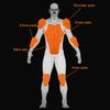 New CE Level 2 Certified Motorcycle Pants Jeans Protective Gear Knee Hip Protection Motorbike Riding Protective Kneepads Thicken