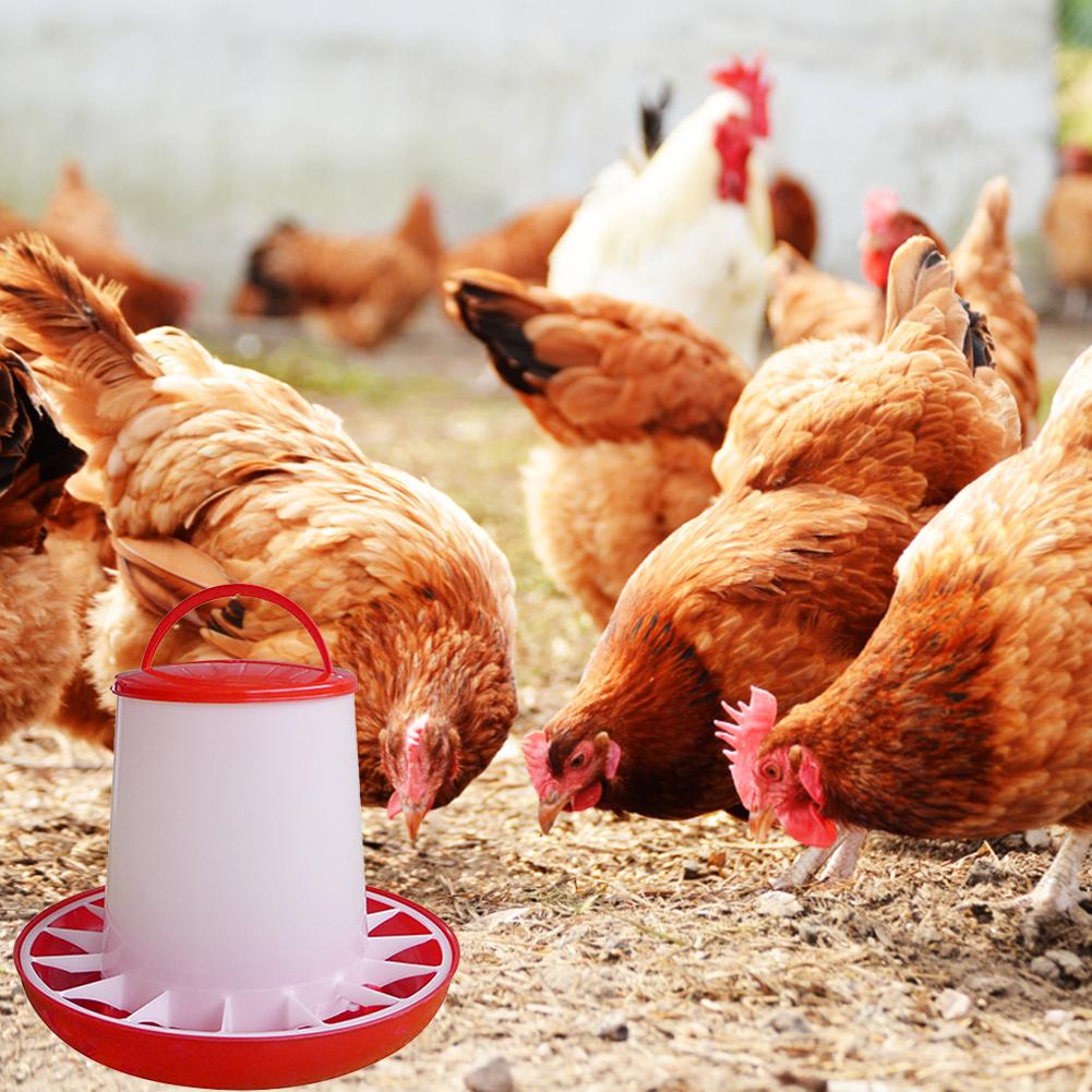 1KG Automatic Chicken Feeder Bucket Rooster Hen Feeding Farm Animal Device, Supplies Poultry Qu G2E3