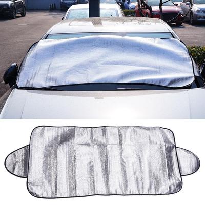 Manutenzione carrozzeria auto – Protezione antigelo della carrozzeria