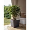 EDA Pot de fleurs Carré DIVA BASALT - 42 L - 43,5 x 43,5 x H.44,2 cm - Bac intérieur amovible - Gris anthracite
