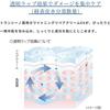 [Transino] Whitening Repair Cream EX 35g + Sample