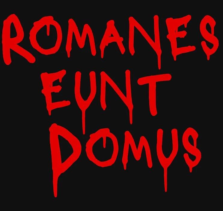 

Футболка Romanes Eunt Domus Новая 100% Хлопок Короткий Рукав Круглый Вырез Повседневная Мужская Футболка Streetwear S