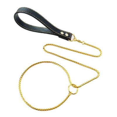 Hundeleine aus Edelstahl Integriertes Hundehalsband und Leine 4mm 1m/1.2m Metall-Hundeleine für Kleine Mittelgroße Große Haustiere Ledergriff