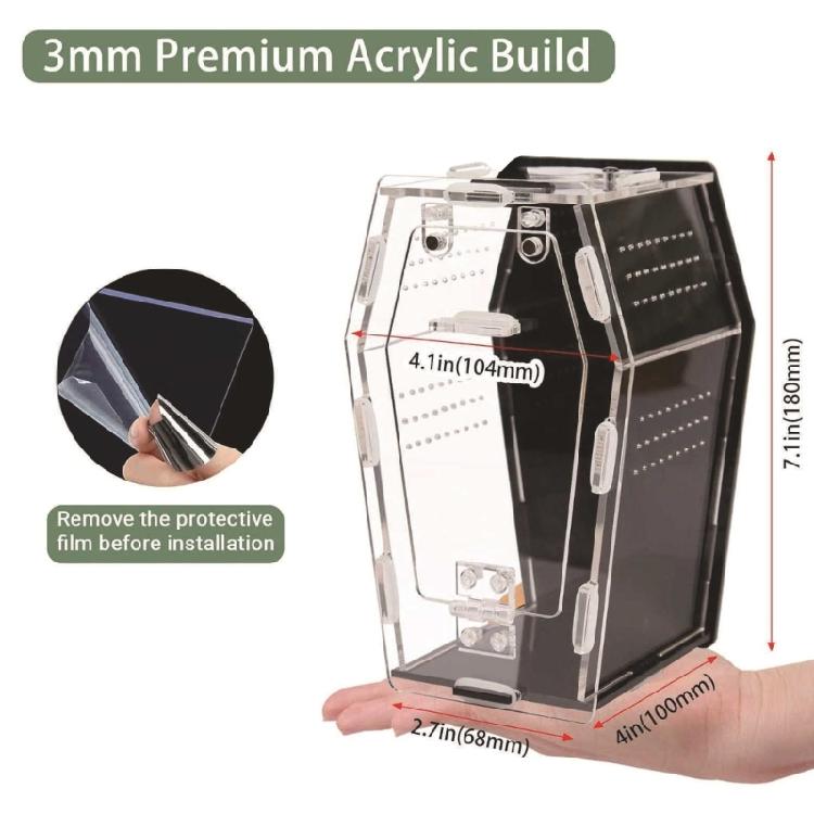 Acrylic Miniature Pet Terrarium For Jumping Spiders Hermits Mantis Practical Jumping Spiders Enclosure