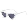 FASHION Sexy Cat Eye Sunglasses Triangle LADIES Small Size Modern Retro Designer Women Sun Glasses Shades for Lady