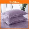 Modern Simplistic Doublesided Milk Velvet Pillowcase With Crystal Fleece For Home Comfort
