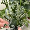 5er-Pack Transparente Flexible Pflanzenstützklemmen Verstellbare Gartenklemmen für Innen Außen Bonsai Monstera Pflanzen Trainingsclips