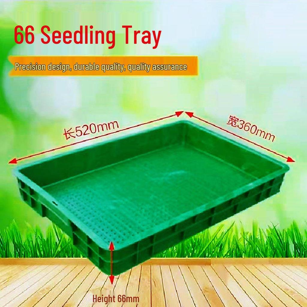 Large Commercial Seedling Tray for Bean Sprouts and Vegetables