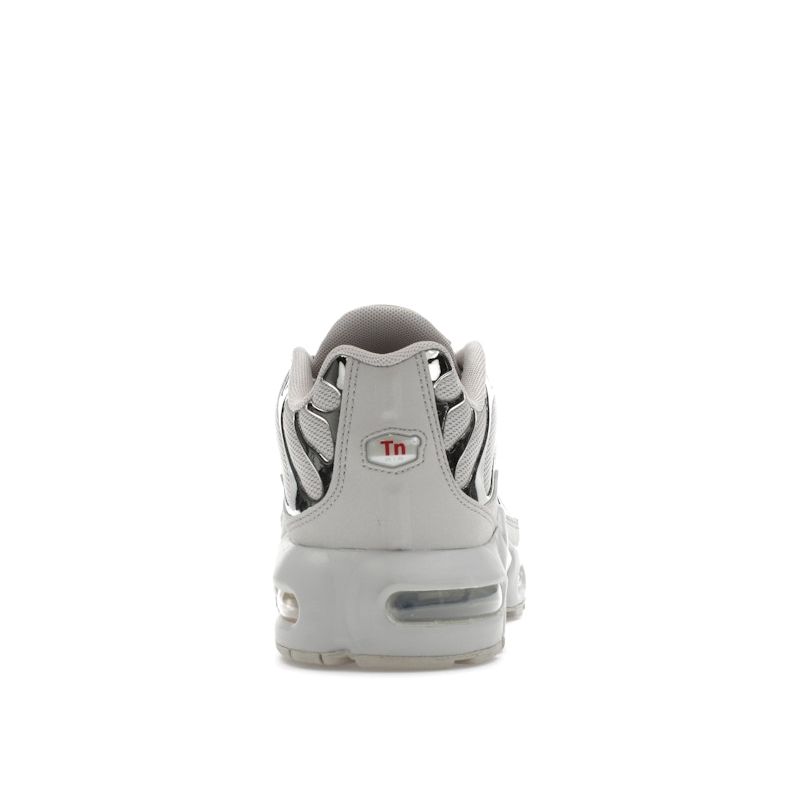 Nike Air Max Plus GS Světle železná ruda Chrom Dětské tenisky Šedá Gym-Red Kouřově šedá FZ0977-001