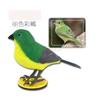 Children'S Intelligent Electric Voice Control Induction Simulation Bird Can Call And Move Light Control Puzzle Music Electronic