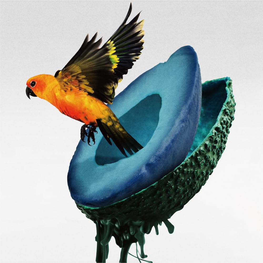 

Shinkai God Roll Dice (Regular Edition) - Doesn t