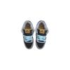 Nike Dunk SB Coast Morning Mist 2.0 Abrasion Resistant Low Top Skateboard Shoes Unisex FN5880-001(Team1683-2.0)