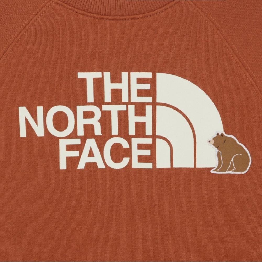 The North Face Kids Animate Sweatshirt Dark Orange Nm5mr55t