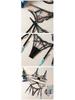 Stylish Lace Embroidered Sheer Push-Up Bra & Panty Set