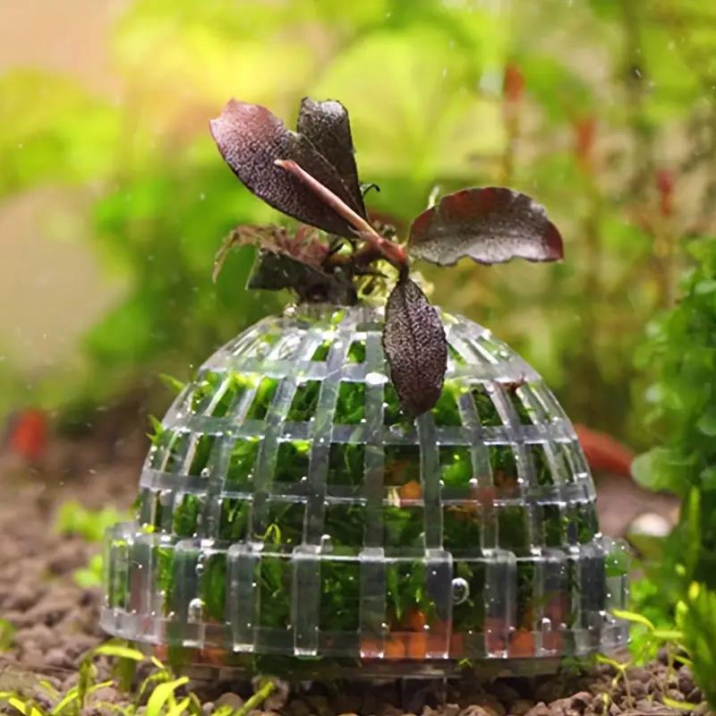 Plastikowy filtr do akwarium Moss Ball Aquatic Pet Supplies Dekoracje do krewetek Akwarium Produkty dla zwierząt Dekoracje do akwarium