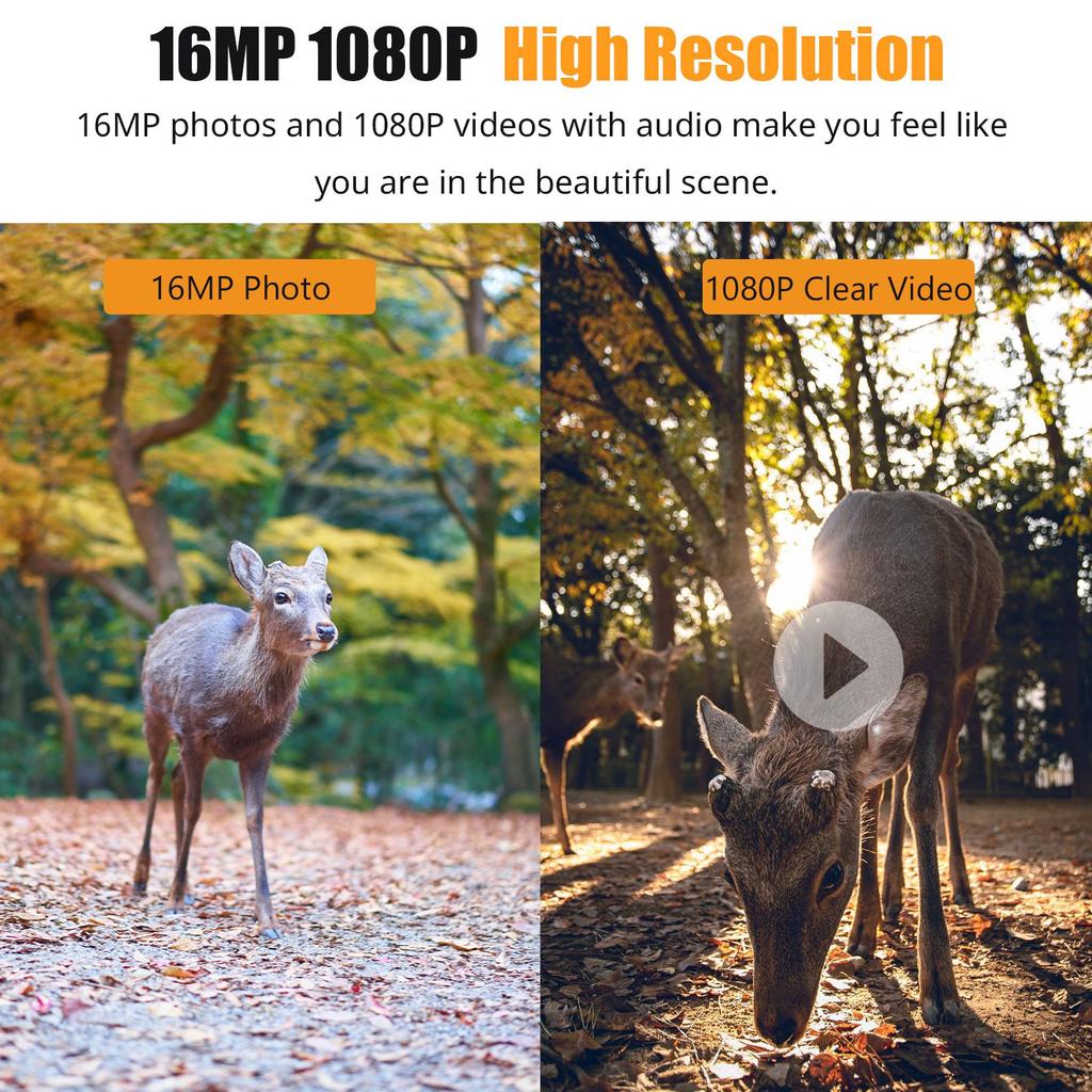 1080P Hunting Camera 2.0in LCD 16MP Infrared Night   Mobile Monitoring IP66 Waterproof Trail Camera