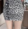 Leopard Print Mesh V-Neck Bodycon Mini Dress