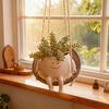 Decorațiuni pentru casă – Ghivece de flori decorative