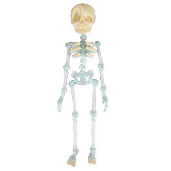 5Pcs 3D Printed Skeleton Refrigerator Magnet Poseable Skeleton Figurine with Movable Joints Halloween Gothic Skeleton Fridge Magnetic Decoration