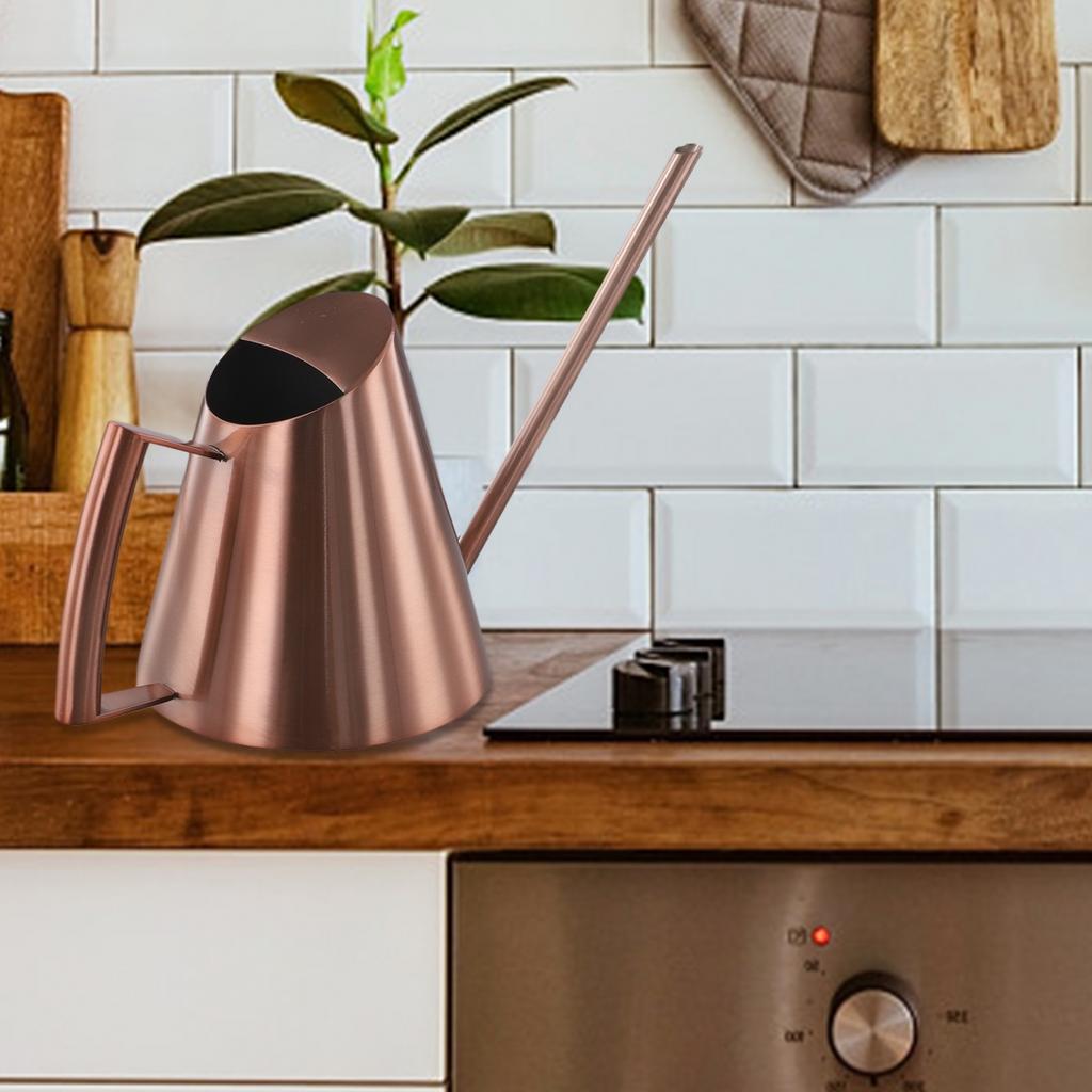 Stilvolle Gießkanne mit langem Ausguss aus Edelstahl: Für Zimmer- und Außenpflanzen