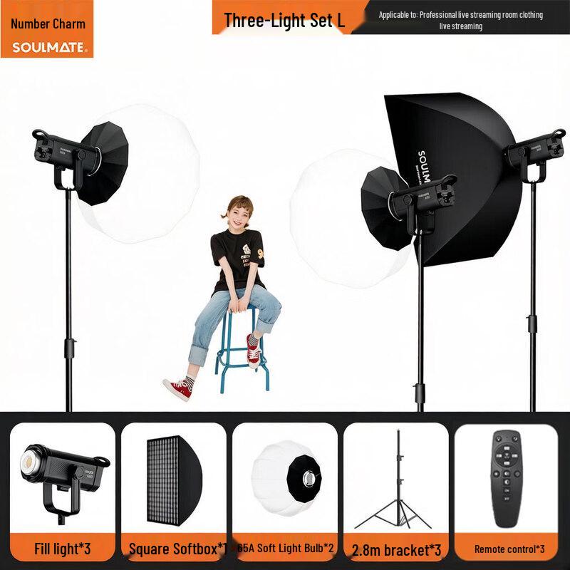 SOULMATE E300BiMax 300W Bi-Color COB LED Video Light 3-Light Kit