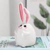 Creative Rabbit Money Box for Kids – Birthday & Children's Day Gift